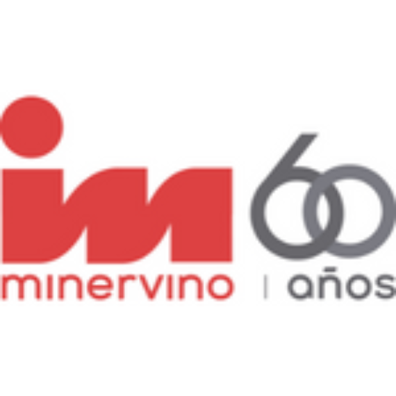 MINERVINO