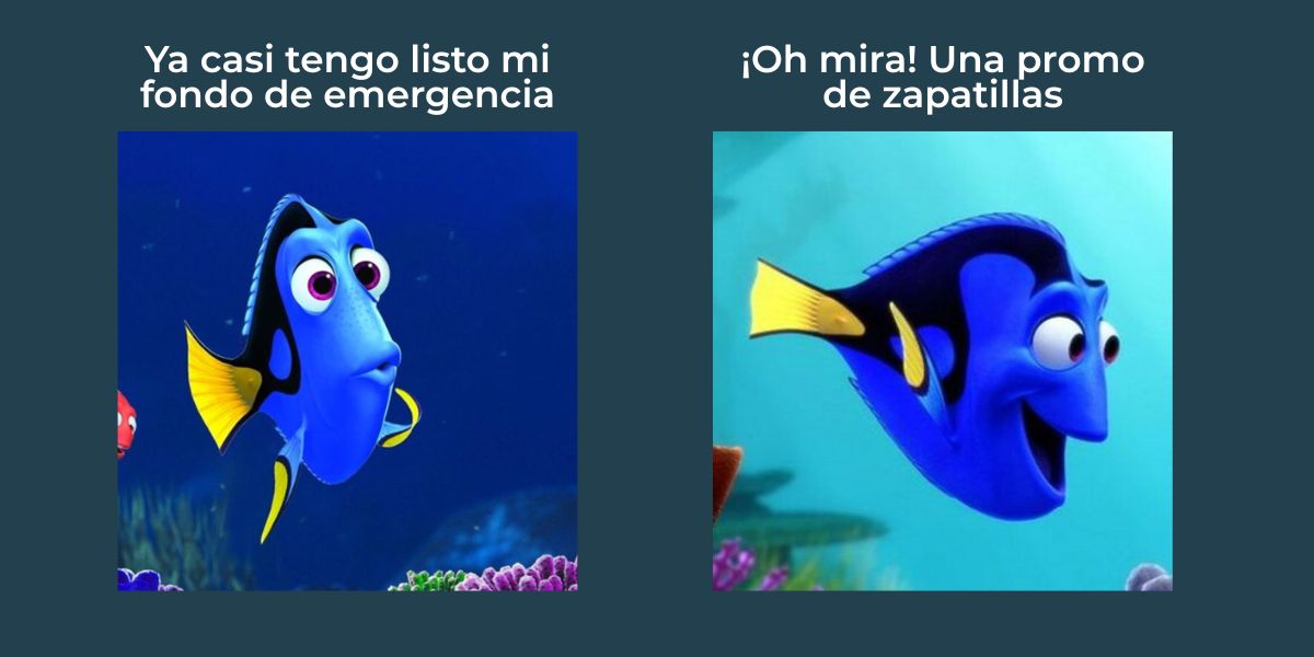 Fondo de emergencia cómo hacerlo