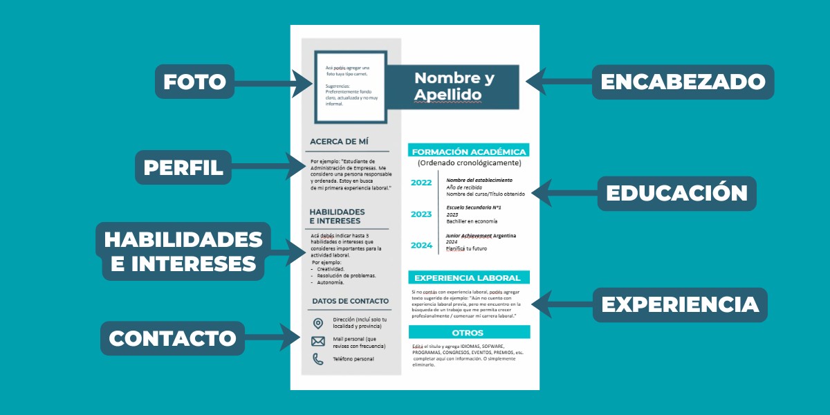 Partes del CV